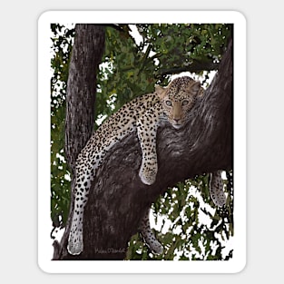 Realistic Painting of a Resting Leopard Sticker